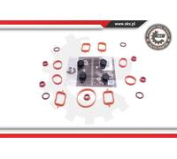 Kit riparazione, modulo collettore aspirazione 49SKV563 ESEN SKV