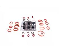 ESEN SKV Kit riparazione modulo collettore aspirazione 49SKV566 per BMW E39/E46/E53/E60/E65/E90 M57