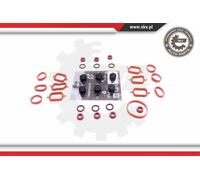 Kit riparazione, modulo collettore aspirazione 49SKV566 ESEN SKV