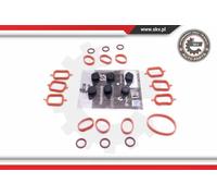 Kit riparazione, modulo collettore aspirazione 49SKV567 ESEN SKV