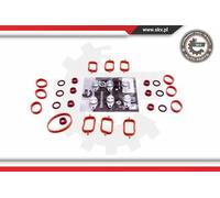 ESEN SKV Kit di riparazione modulo collettore aspirazione 49SKV568 per BMW M57
