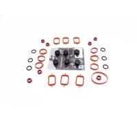 Kit riparazione, modulo collettore aspirazione 49SKV569 ESEN SKV