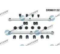 Kit riparazione, modulo collettore aspirazione DRM01132 Dr.Motor Automotive