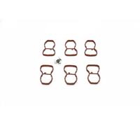 Kit riparazione, modulo collettore aspirazione DRM01241SL Dr.Motor Automotive