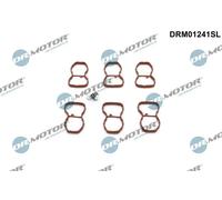 Kit riparazione, modulo collettore aspirazione DRM01241SL Dr.Motor Automotive