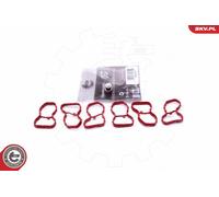 Kit riparazione, modulo collettore aspirazione per BMW 3 4 5 6 7 X3 X4 X5 X6
