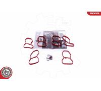 Kit riparazione, modulo collettore aspirazione per BMW 3 5 7 X5 X6 X7