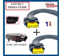 Temic Modulo Alzacristallo Comfort Pinze ESPACE 4 Laguna MEGANE 2 Scenic 2