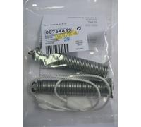 Kit riparazione molla porta lavastoviglie Bosch Siemens Neff 754869 00754869