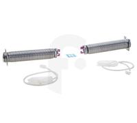 Kit Riparazione Molle Cerniera Porta per Lavastoviglie 754873