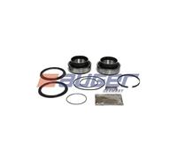 Kit riparazione mozzo ruota 57066 AUGER per AUSTIN MITSUBISHI LAND ROVER