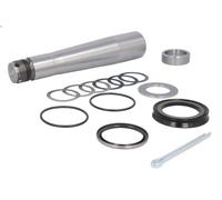 Kit riparazione, Perno fuso a snodo C.E.I 198.386 per VOLVO N10 9.6 1973-1989