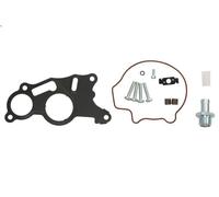 Kit riparazione, Pompa a depressione (Sistema frenante) per A3 (8P1) 2 2003-2012