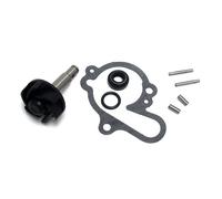KIT RIPARAZIONE POMPA ACQUA RIEJU RR CASTROL SERIES 50 1999 2001