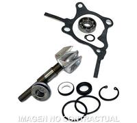 Sgr Honda Foresight 250 Water Pump Rebuild Kit Argento