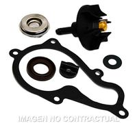 Kit Riparazione Pompa Acqua piaggio beverly 350 Moto Motore
