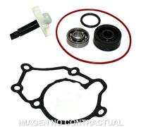 Sgr Kit Di Revisione Della Pompa Dell`acqua Yamaha Xmax 125