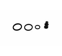Kit riparazione pompa-iniettore DRM005R Dr.Motor Automotive per AUDI VW SEAT