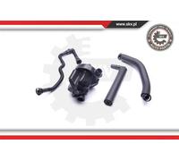 Kit riparazione ricircolo gas motore 31SKV099 ESEN SKV per BMW 3 Compact X3 3