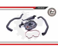 Kit riparazione ricircolo gas motore 31SKV100 ESEN SKV per BMW X5