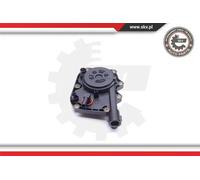 Kit riparazione ricircolo gas motore 31SKV103 ESEN SKV per BMW 5 7 5 Touring