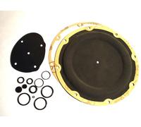 Kit riparazione riduttore gas GPL Landi Renzo SE81 2300