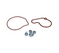 Kit riparazione, Pompa a depressione (Sistema frenante) compatibile con AUDI VW