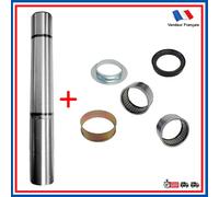 Kit Riparazione Treno Posteriore Asse + Asse per 205 306 309 XSARA ZX