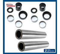 Kit Riparazione Treno Posteriore Cuscinetti + Assi Pinze per Saxo AX 106 A 4