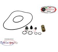KIT RIPARAZIONE TURBO COREASSY PER IVECO DAILY V 35S11