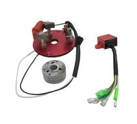 Kit rotore Interno Bobina Magnete statore Bobina Magnete statore per 50 60 70 80 90 100 125 140 CC Pit Orizzontale Thumpstar Parts Moto