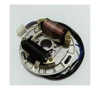 Kit Rotore Interno Per Motocicletta E Scooter Statore Di Accensione Bobina Magnete Con Piastra Per 2 Tempi 100cc AX 100 In Poli Di Accensione Motore