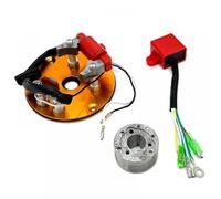 Kit rotore statore bobina magnetica compatibile per 50cc 110cc 125cc 150cc 160cc motore orizzontale scooter Go Kart ATV Quad LF YX motore parti