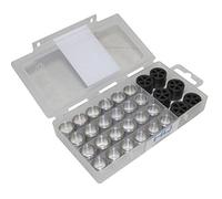 Polini 19x15.5 G4.5-5-5.5-6 Variator Rollers Argento 19 x 15.5 mm/4.5-5-5.5-6 g