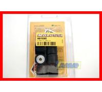 KIT RULLI PER MULTIVAR MALOSSI 20 X 17 15,0 gr. - 6611095T