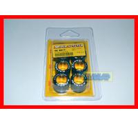 KIT RULLI PER MULTIVAR MALOSSI 23 X 18 17,0 gr. c.669917I
