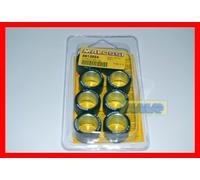 KIT RULLI PER MULTIVAR MALOSSI 25X17,0 15,0 gr. c.6613554B