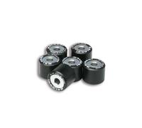 Kit Rulli per Variatore x6 - Ø 20x17 - 9,5g