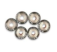 KIT RULLI VARIATORE 6PZ. 25X22,20 GR.20,00 ATLANTIC 500-GILERA NEXUS-XCITING