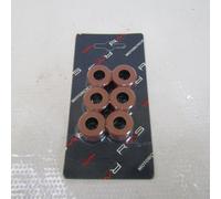 Kit rullini mm 21X17 GRAMMI 13,8 RMS Roller weights Piaggio Beverly 200 300cc