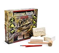 Kit Scavo Dinosauri Fossili - Sterra 6 Diversi Dinosauri