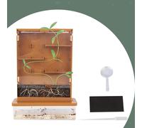 Kit scientifici del labirinto vegetale Progetti in classe Educativi