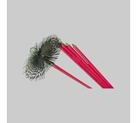 KIT SCOVOLO PER PULIZIA CAMINO Ø 250 mm Pulitori Camino