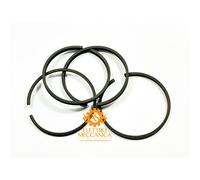 Kit Segmenti d.60 Alta Pressione per Gruppi Pompanti B6000 ABAC