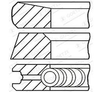 Goetze Kit fasce elastiche 08-113500-00 per Ford, Ford Australia, LDV e LTI
