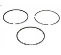 Kolbenschmidt Kit fasce elastiche 800023610000