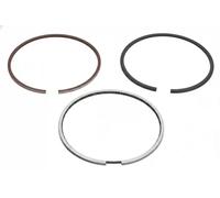 Kit segmenti pistone 8911420000 NE