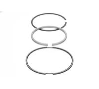 NE 120010006800 Kit fasce elastiche
