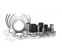 Kit segmenti pistone 8921670000 NE