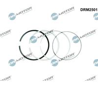 Kit segmenti pistone DRM2501 Dr.Motor Automotive per BMW X3 7 5 5 Touring 3 X5 6